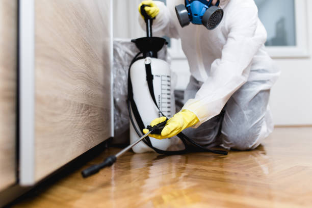 Best Affordable Pest Control Services  in Homestead Meadows North, TX