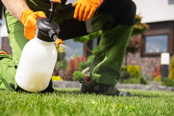 Best Rodent Control Near Me  in Homestead Meadows North, TX