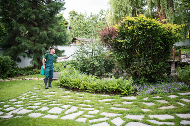 Best Local Pest Control Services  in Homestead Meadows North, TX
