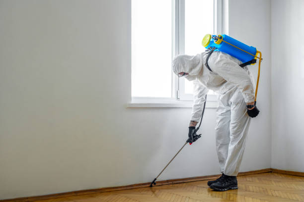 Best Termite Control Services  in Homestead Meadows North, TX