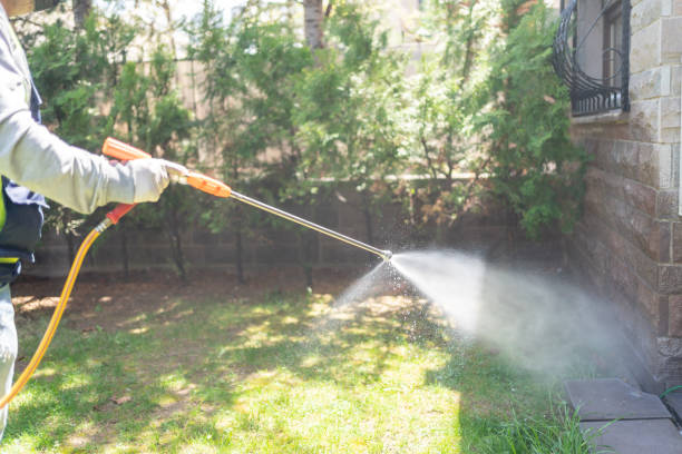 Best Flea Control Services  in Homestead Meadows North, TX