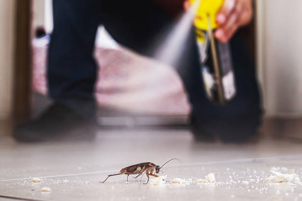 Best Residential Pest Control  in Homestead Meadows North, TX