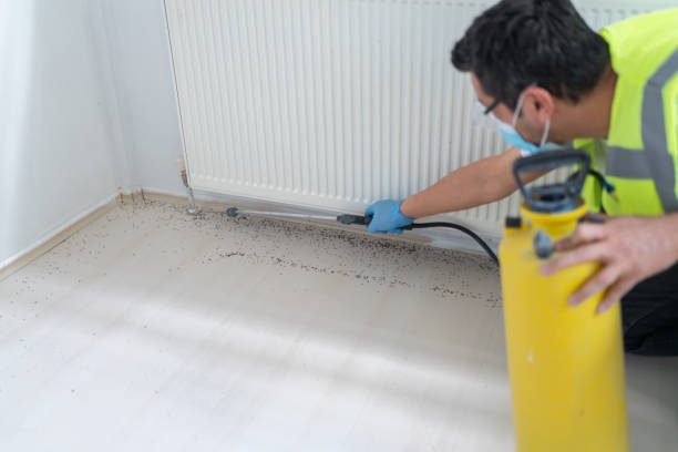 Best Mosquito Control Services  in Homestead Meadows North, TX